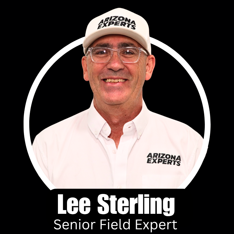 Lee Sterling